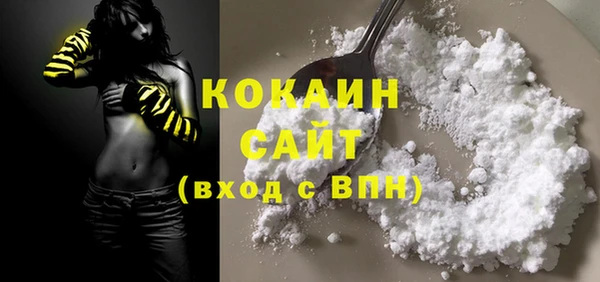 индика Верхний Тагил