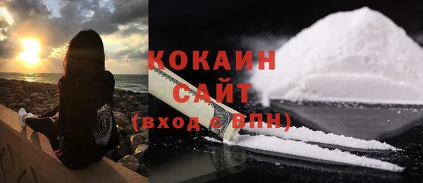 прущие грибы Волоколамск