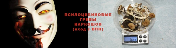 индика Верхний Тагил