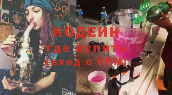 индика Верхний Тагил