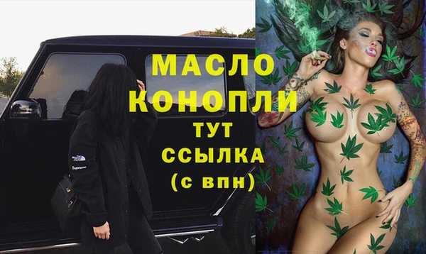 индика Верхний Тагил