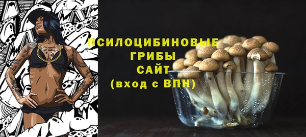 прущие крисы Верея
